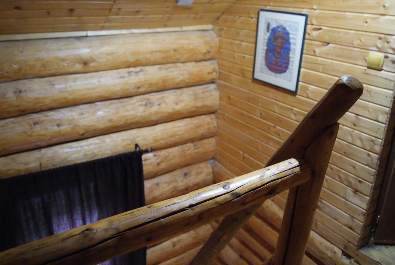Musketeers Cabin Porumbacu de Sus Exterior photo