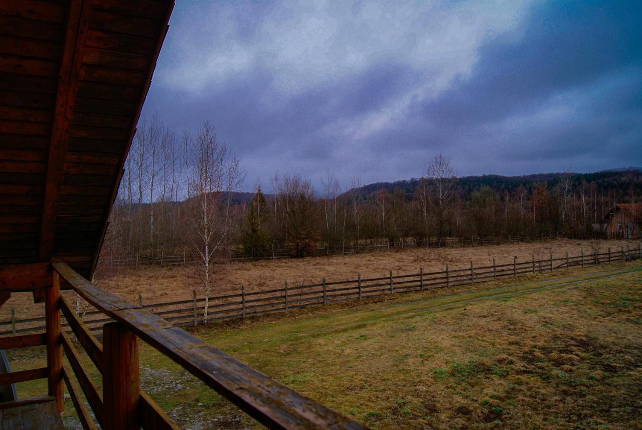 Musketeers Cabin Porumbacu de Sus Exterior photo