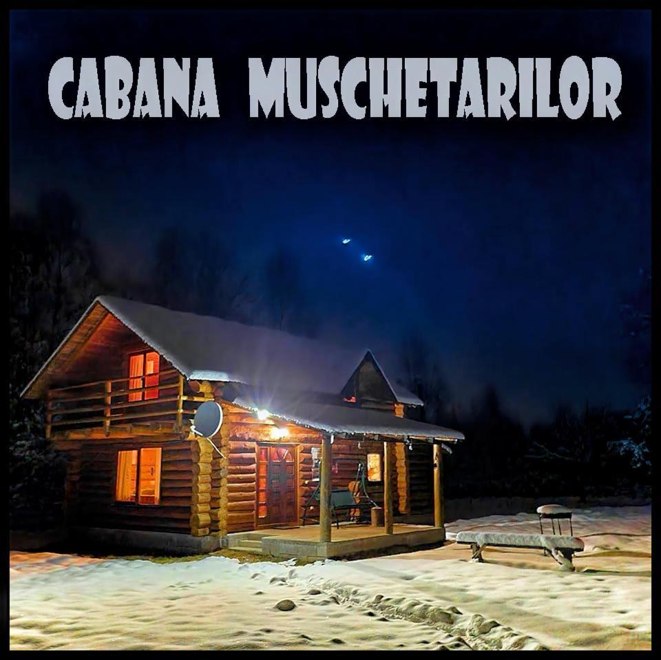 Musketeers Cabin Porumbacu de Sus Exterior photo