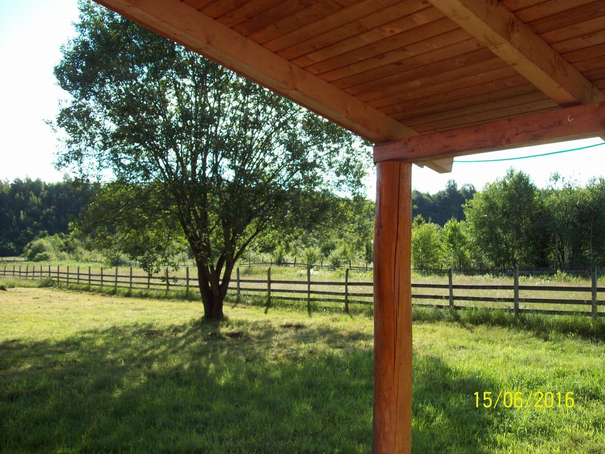 Musketeers Cabin Porumbacu de Sus Exterior photo