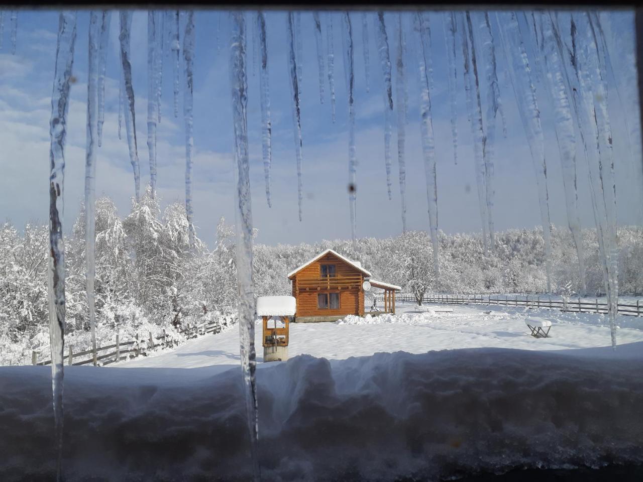 Musketeers Cabin Porumbacu de Sus Exterior photo